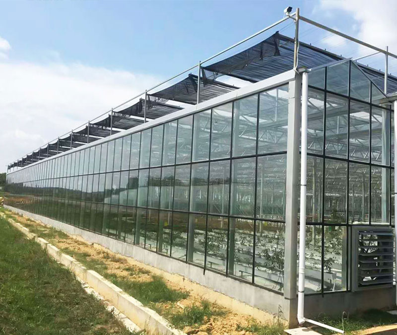 玻璃溫室中補光時要注意哪些事項